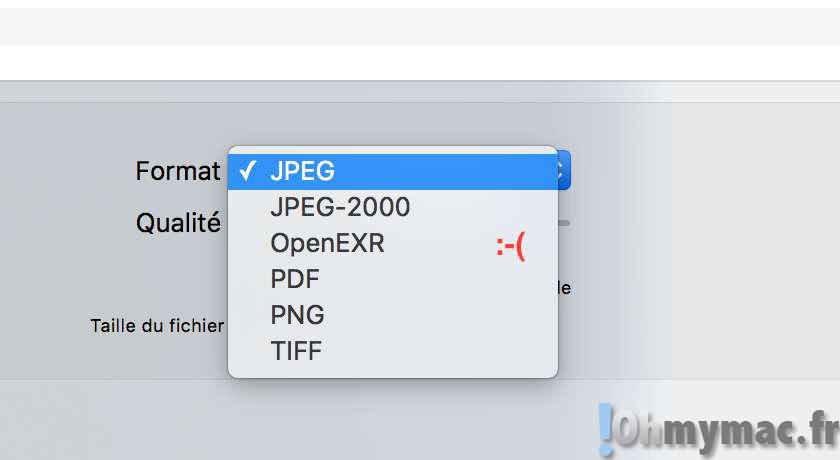 apercu GIF icns: Enregistrer une image au format GIF, icône Mac (ICNS), icône Windows (ICO), photoshop (PSD), etc avec Apercu Mac