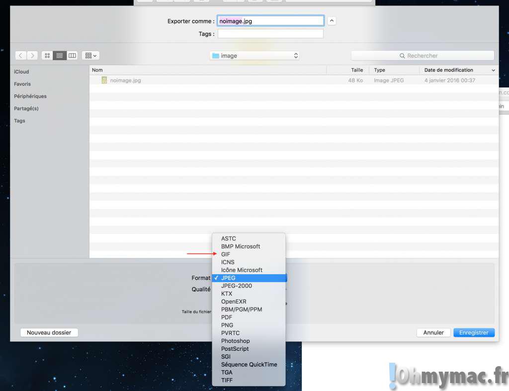 apercu GIF icns: Enregistrer une image au format GIF, icône Mac (ICNS), icône Windows (ICO), photoshop (PSD), etc avec Apercu Mac